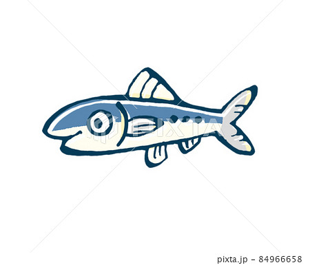イワシのイラスト素材