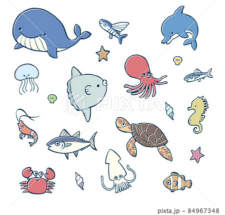 海の生き物キャラクターのイラスト素材