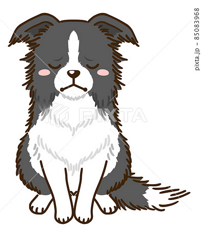 ボーダーコリーのイラスト素材