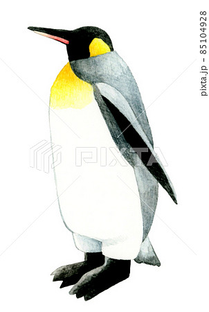 ペンギンのイラスト素材集 ピクスタ
