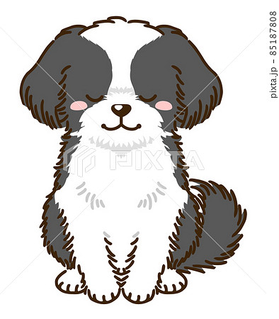 シーズー イラスト かわいいの写真素材