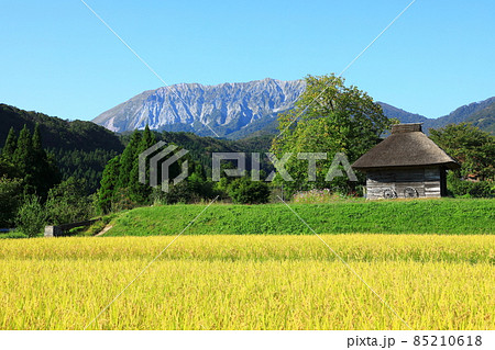 柿の木 柿 田園の写真素材 - PIXTA