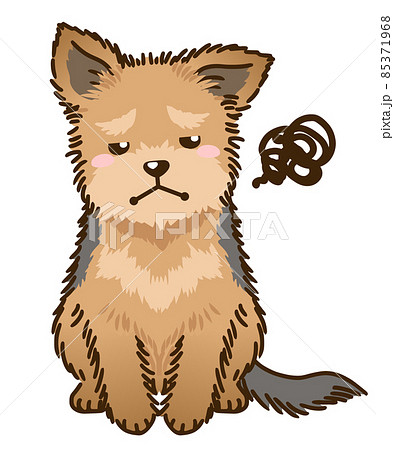 ヨークシャーテリアのイラスト素材