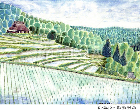 田植え 田んぼのイラスト素材