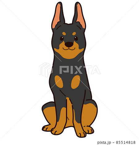 ベクター 愛犬 犬 ドーベルマンのイラスト素材 ベクター 愛犬 犬 ドーベルマンのイラスト素材