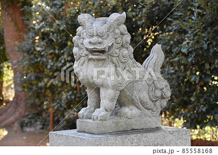 狛犬 石像 守り神 神社の写真素材 - PIXTA