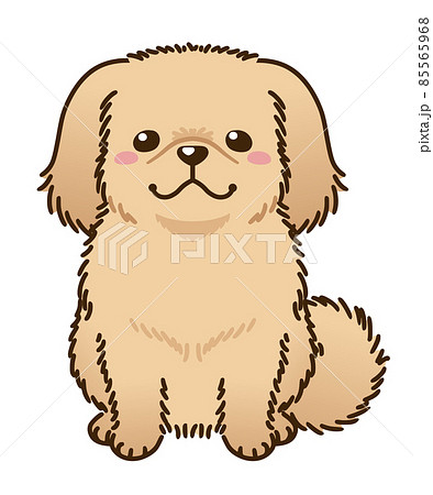 ペキニーズのイラスト素材