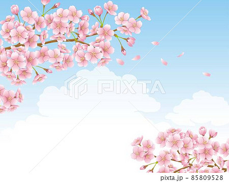 桜 絵文字 春 ピンクの写真素材