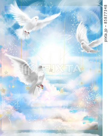 白い鳩のイラスト素材