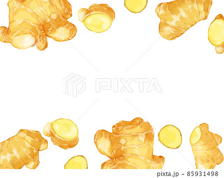 生姜のイラスト素材集 ピクスタ