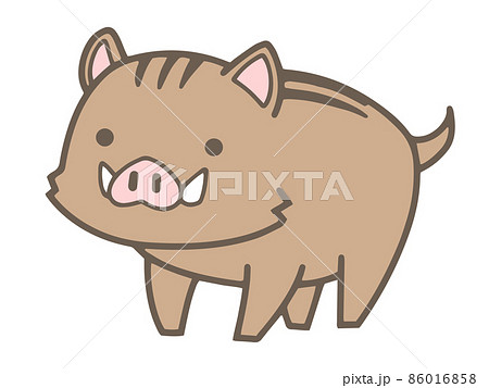 猪 いのしし 獣 干支のイラスト素材