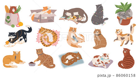 眠り猫のイラスト素材