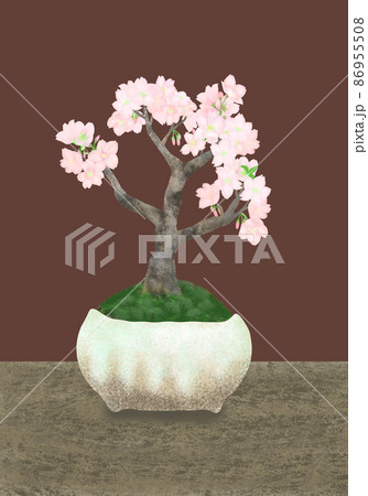 盆栽のイラスト素材集 ピクスタ