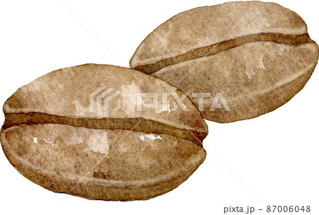 コーヒー 豆 コーヒー豆 珈琲豆のイラスト素材