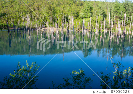 北海道 壁紙 美瑛 青い池の写真素材 北海道 壁紙 美瑛 青い池の写真素材