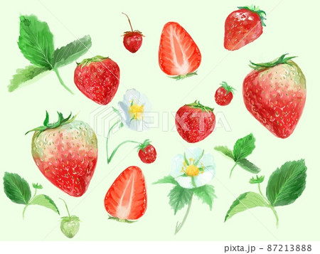苺 葉 かわいい 花のイラスト素材 苺 葉 かわいい 花のイラスト素材