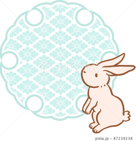 ウサギ うさぎ はねる 走るのイラスト素材
