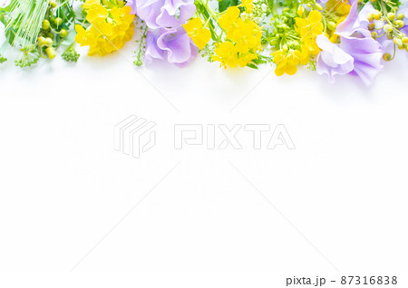 フラワーアレンジメント 菜の花 生け花 白バック かわいいの写真素材