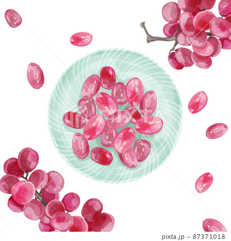 ぶどう イラスト 葡萄 手描きのイラスト素材