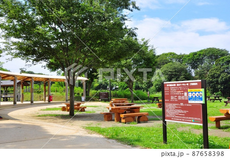 県立茅ヶ崎里山公園の写真素材