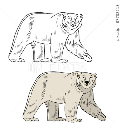 Doodle Bear Vector Color Illustration Isolated On A White