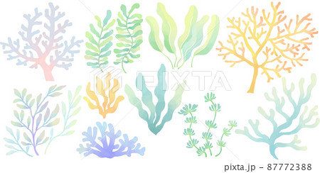 珊瑚のイラスト素材集 ピクスタ