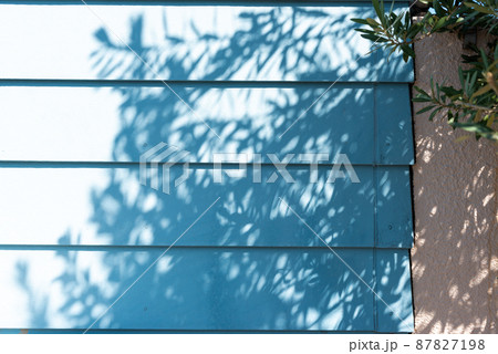 青い住宅の外壁と葉っぱの影のイメージ