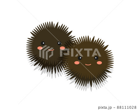 ウニ 雲丹 うに 可愛いのイラスト素材