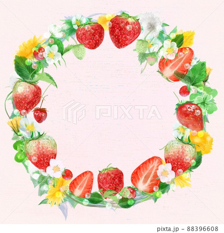 野いちごのイラスト素材