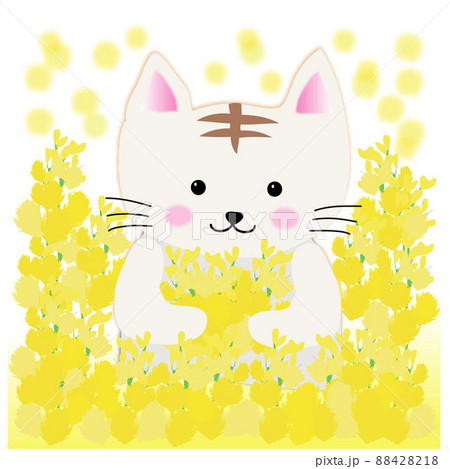 猫 花 動物 花畑のイラスト素材 - PIXTA 猫 花 動物 花畑のイラスト素材 - PIXTA