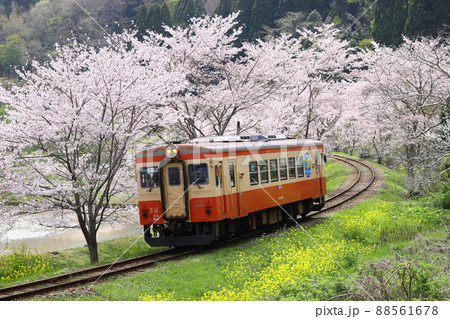 桜 春 鉄道 いすみ鉄道の写真素材 - PIXTA