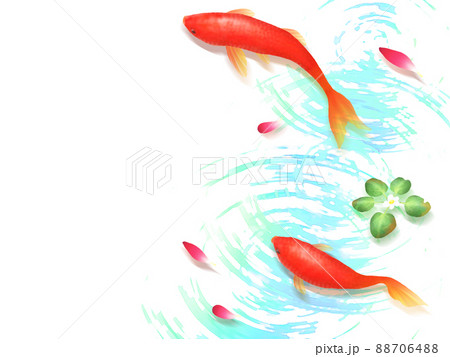 金魚 イラスト フレーム かわいいのイラスト素材