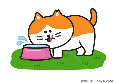 動物 猫 舐める ハチワレのイラスト素材 動物 猫 舐める ハチワレのイラスト素材