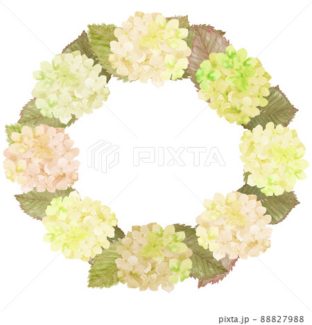 あじさい 花 植物 フレームのイラスト素材