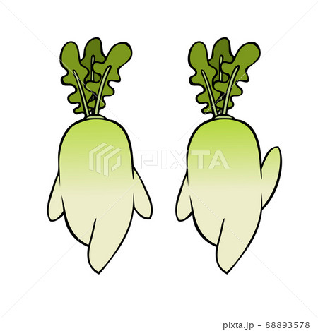 きもかわのイラスト素材