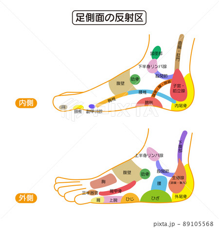 経絡図の写真素材 - PIXTA