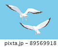 갈매기 일러스트 세트 - 스톡일러스트 [79013362] - Pixta