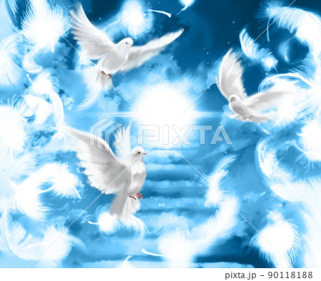 白い鳩のイラスト素材