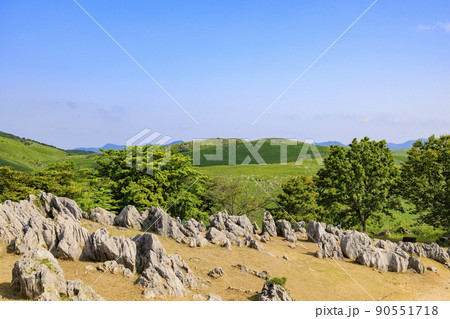 秋吉台 夏 カルスト台地 花の写真素材 - PIXTA