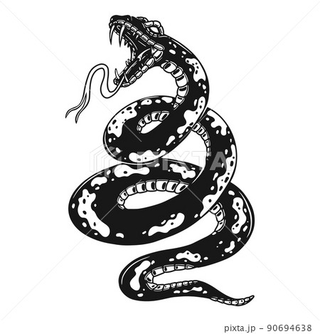 ヘビ 蛇 動物 怖いのイラスト素材