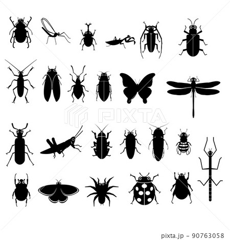 昆虫 虫 シルエット アイコンの写真素材