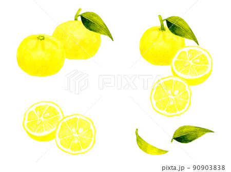 ゆずのイラスト素材集 ピクスタ ゆずのイラスト素材集 ピクスタ