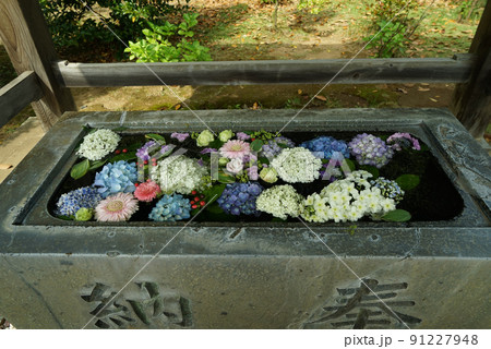 吉田神社 水戸市 水戸 茨城県の写真素材