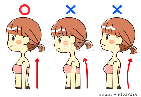 良い姿勢のイラスト素材