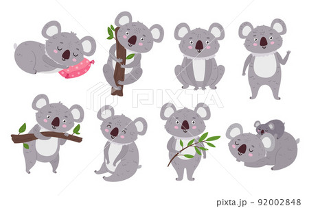 Cute koala cartoon character - Stock Illustration [106230492] - PIXTA