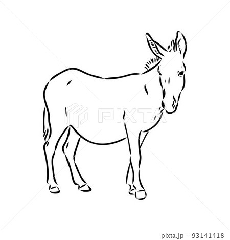 ロバのイラスト素材