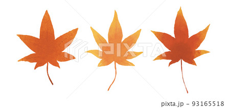 葉 もみじ 楓 紅葉のイラスト素材