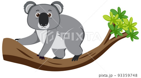 Cute koala cartoon character - Stock Illustration [106230492] - PIXTA