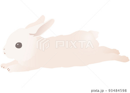 うさぎ 横向き イラスト 白バックのイラスト素材