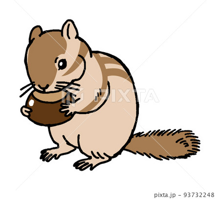 リス シマリス のイラスト素材集 ピクスタ
